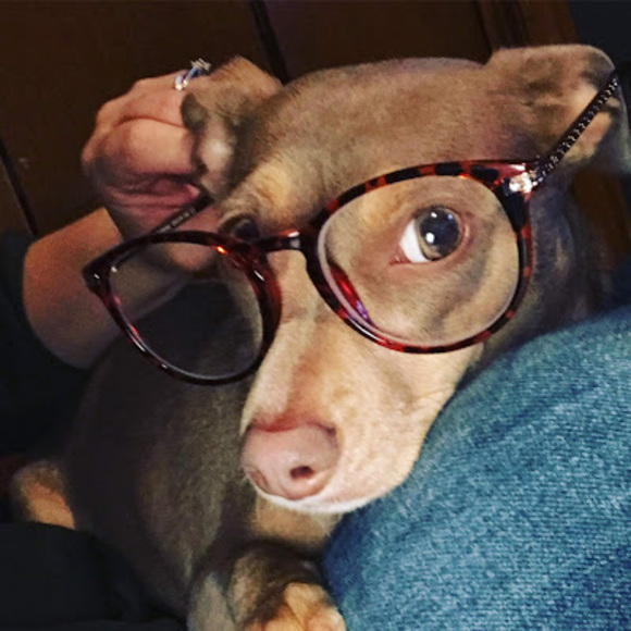 Meet your Posher, Angela - Picture 1 of 1